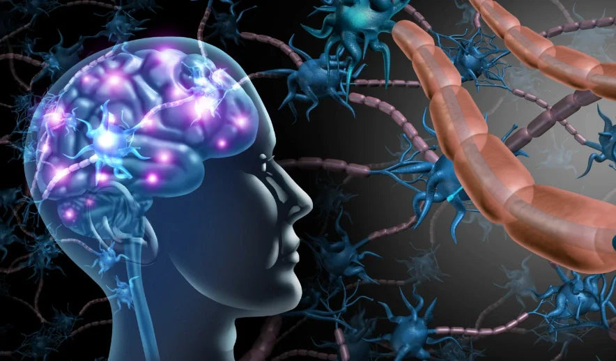 What Cold Water Immersion Actually Does to Your Brain Chemistry