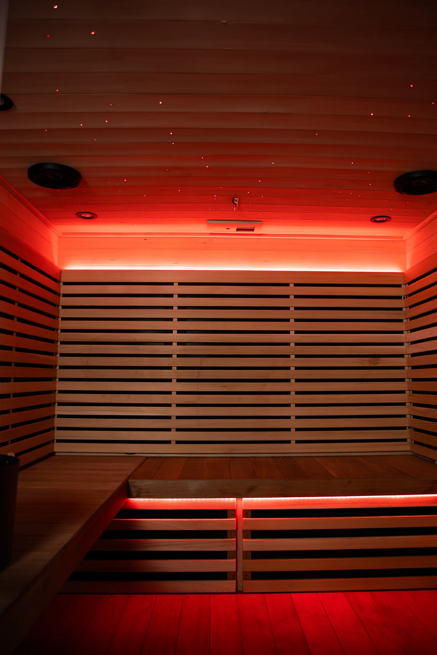 The Hybrid Dual Heat Sauna
